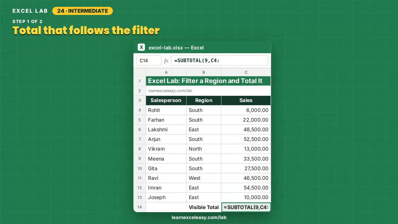 Filter a Region and Total It Excel lab