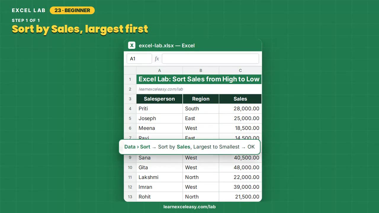 Sort Sales from High to Low Excel lab